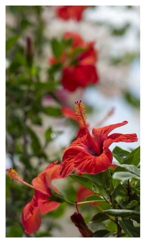 Φθινοπωρινή διακόσμηση σπιτιού | Artline Έπιπλα Άργος